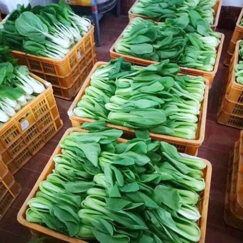 川菜_横沥餐饮配送公司_花觅